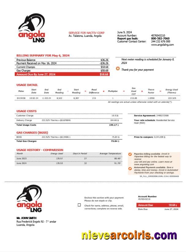 Editable Angola LNG Proof Of Address Business Utility Bill Template In Word And PDF Format