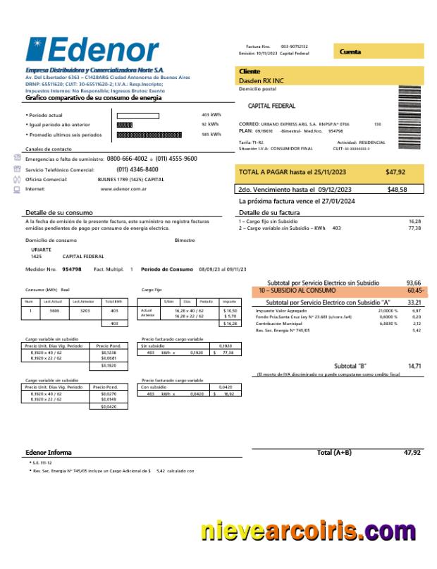 Realistic Argentina Edenor Easy To Fill Business Utility Bill Template In Word And PDF Format