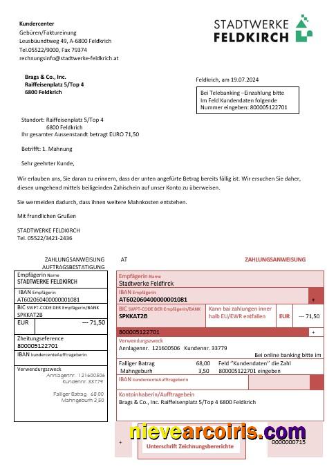 Realistic Austria Stadtwerke Feldkirch Business Utility Bill Template In Word And PDF Format