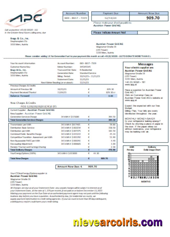 Austrian Power Grid AG Utility Business Bill, SCR Template