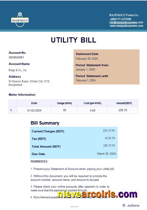 Professional BANGLADESH WAZIPADICO POWER Business Utility Bill Word And PDF Template