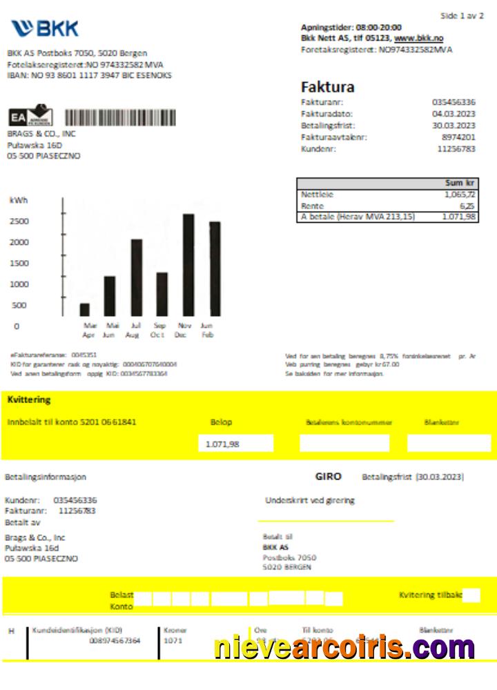 BKK Electricity Utility Business Bill SCR Template