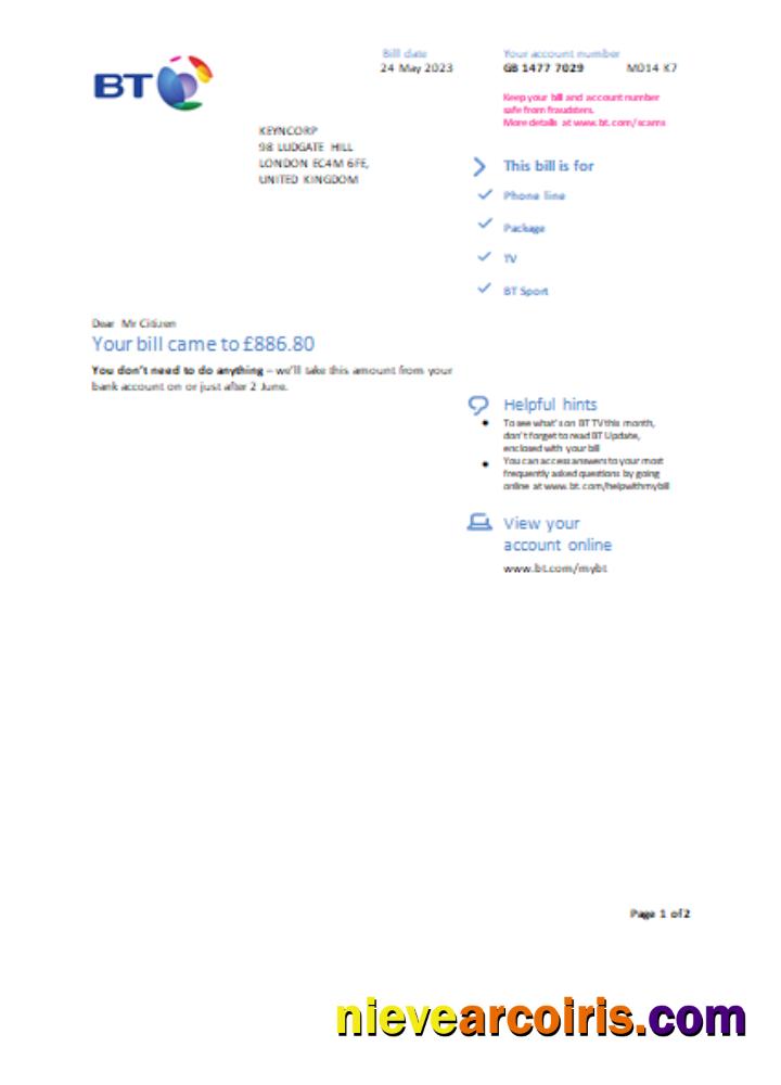 BT Utility Business Bill, Page 1 SCR Photolook