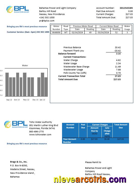 Editable Bahamas Power And Light Company Business Utility Bill Template In Word And PDF Format