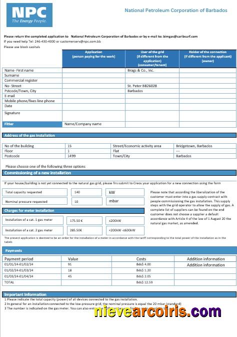 Premium Barbados National Petroleum Corporation Of Barbados Gas Business Utility Bill Template In Word And PDF Format