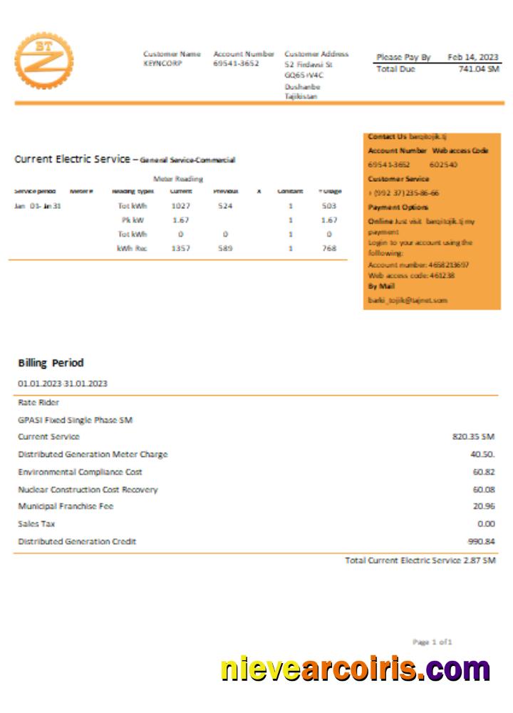 Barqi Tojik Company Electricity Business Bill, SCR Preview