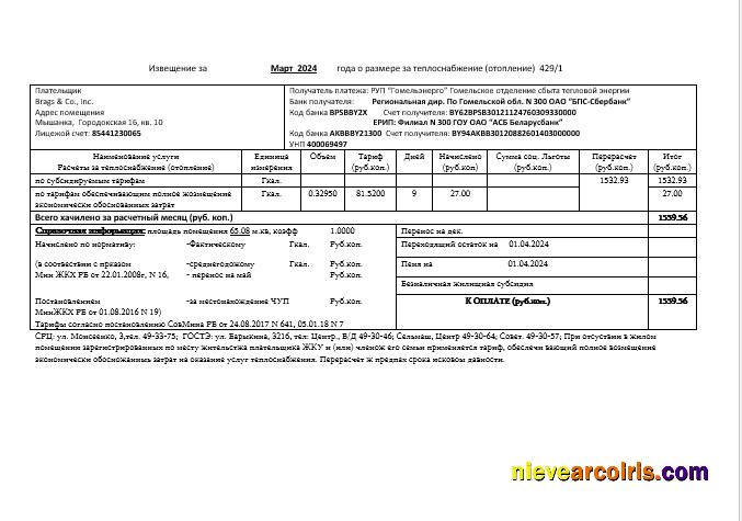 Professional Belarus Gomel Energo Business Utility Bill Template In .doc And .pdf Format, Fully Editable