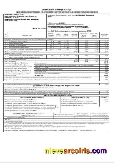Realistic Belarus Business Utility Bill Template In Word And PDF Format, Fully Editable