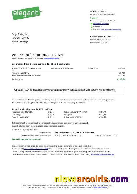 Editable Belgium Elegant Business Utility Bill Word And PDF Template