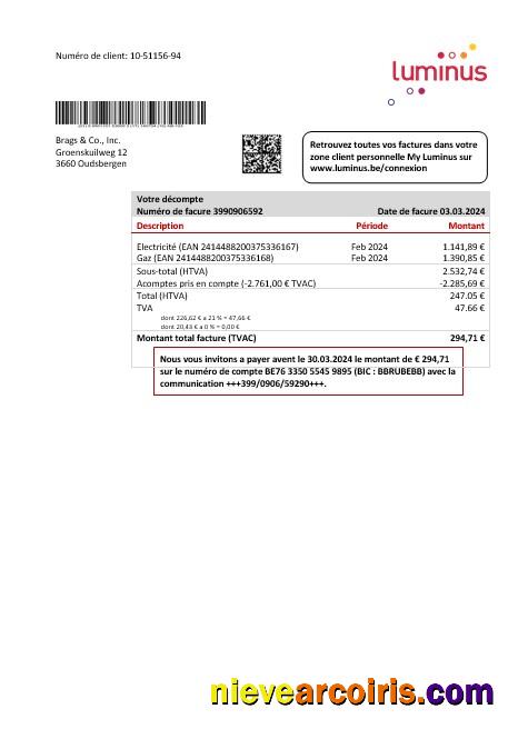 Realistic Belgium Luminus Business Utility Bill Template In Word And PDF Format