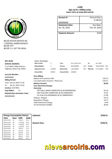 Editable Belize Electricity Limited Electricity Business Utility Bill Template In Word And PDF Format