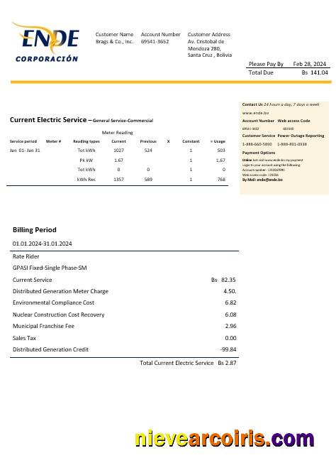 Editable Bolivia ENDE Corporacion Electricity Business Utility Bill Template In Word And PDF Format