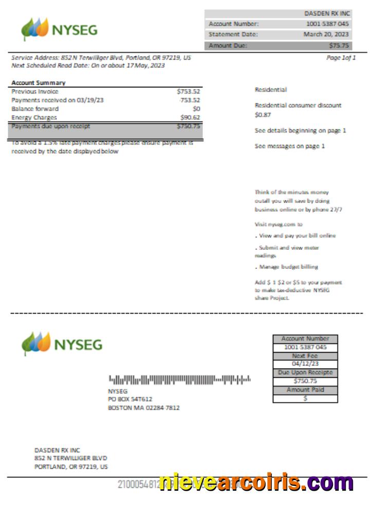 Boston NYSEG Electricity Utility Business Bill, SCR Template