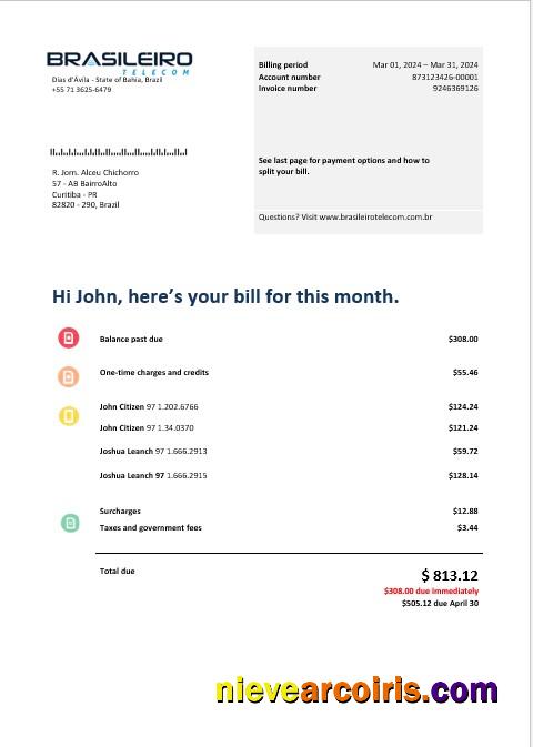 Premium Brazil Braziliero Telecom Business Telecommunication Bill Word And PDF Template