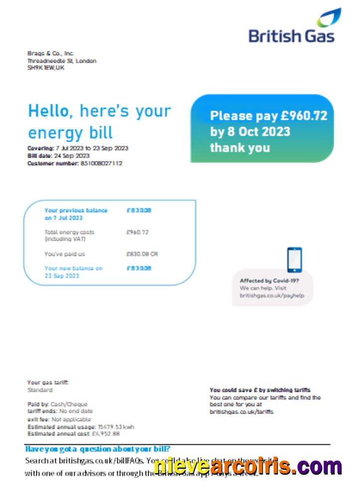 British Gas Energy Utility Business Bill SCR Page 1 Photolook
