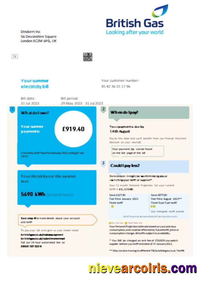 British Gas Electricity Utility Business Bill SCR Photolook