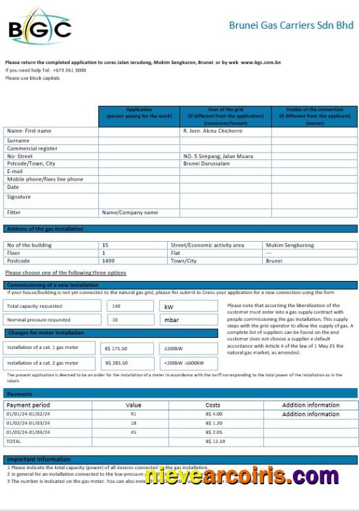 Premium Brunei Gas Carriers Gas Business Utility Bill Template In Word And PDF Format