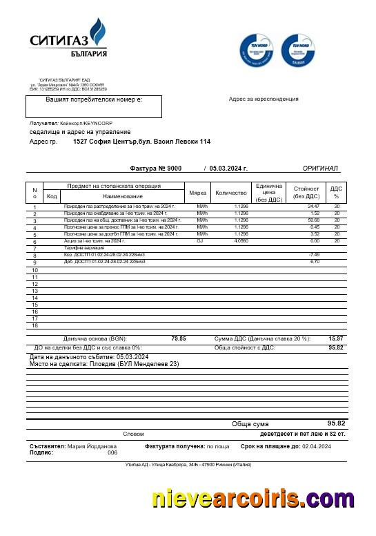 Realistic Bulgary Ситигаз Gas Business Utility Bill Template In Word And PDF (2).doc