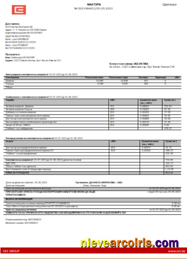 Bulgary Electricity Business Bill, SCR Preview