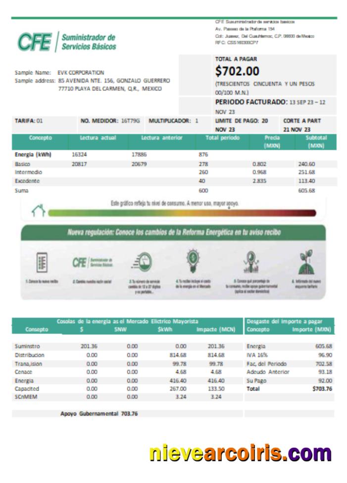 CFE Electricity Utility Business Bill, SCR Template