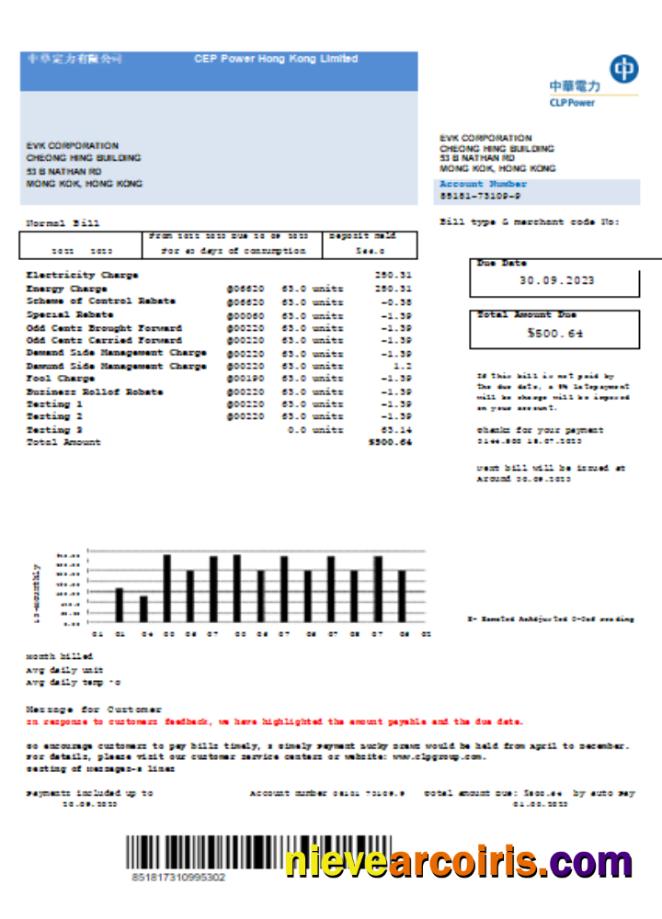CLP Power Hong Kong Limited Utility Business Bill, SCR Sample