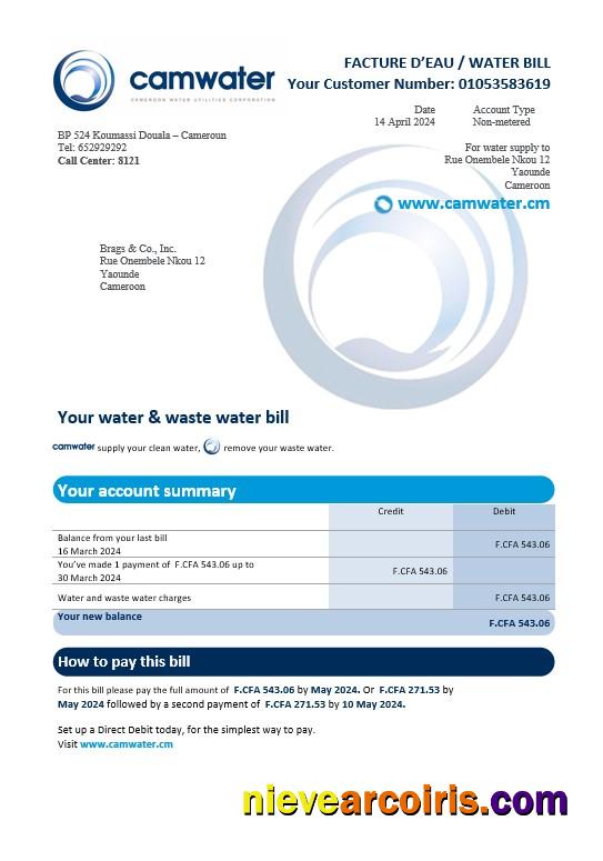 Editable Cameroon Camwater Business Utility Bill Word And PDF Template (2).doc