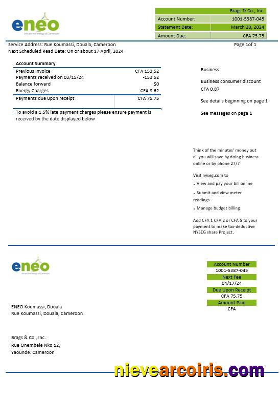 Editable Cameroon ENEO Electricity Business Utility Bill Template In Word And Pdf Formats