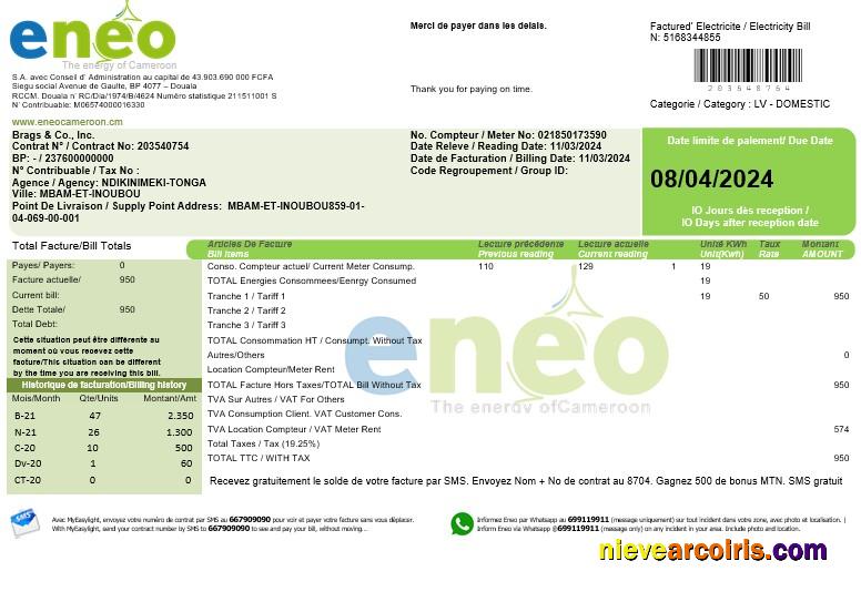 Professional Cameroon ENEO Electricity Business Utility Bill Template In Word