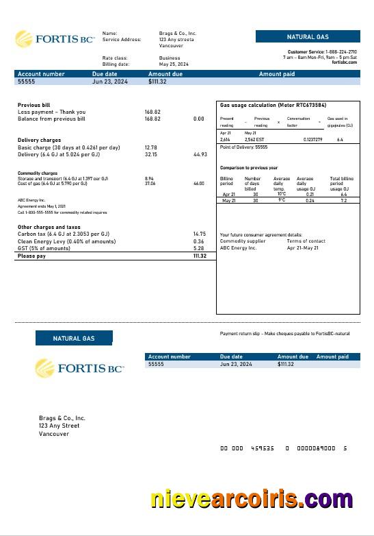 Premium Canada British Columbia FortisBC Business Utility Bill Template (2)