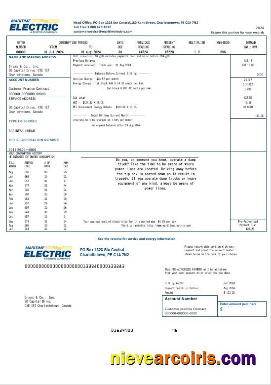 Professional Canada Maritime Electric Business Utility Bill Template In Word And Pdf Format