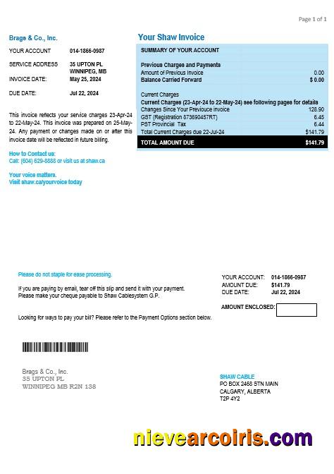 Professional Canada Shaw Business Utility Bill Template In Word And PDF Formats
