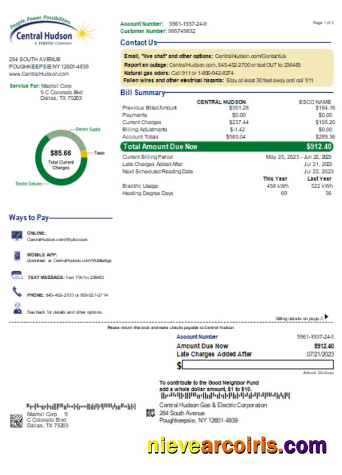 Central Hudson Energy Group Utility Business Bill, Page 1, SCR Sample