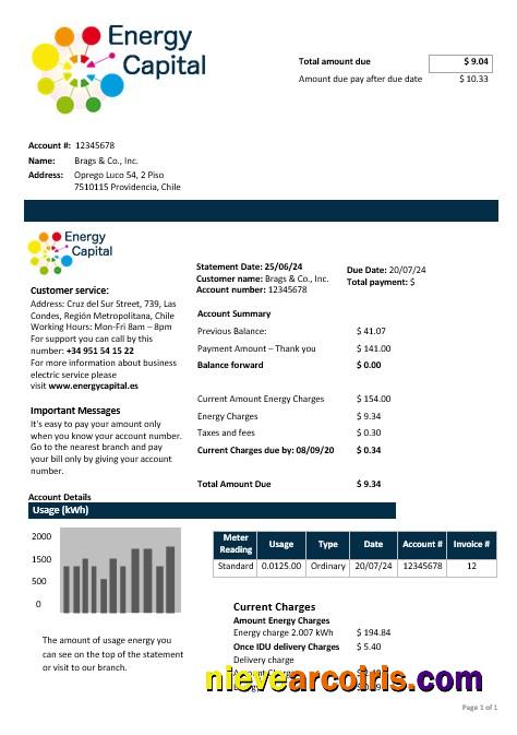 Premium Chile Energy Capital Business Utility Bill Template In Word And Pdf Formats