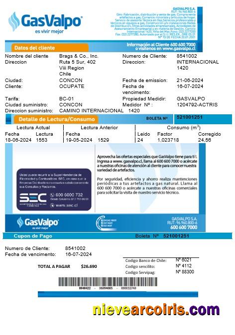 Premium Chile GasValpo Business Utility Bill Template Fully Editable In Word And Pdf Formats1