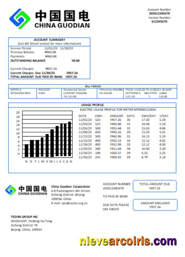 China Guodian Corporation Electricity Utility Business Bill, SCR Sample