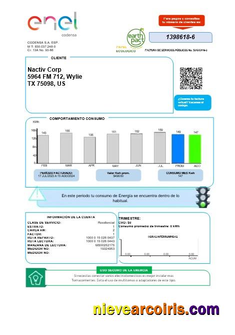 Premium Colombia ENEL Energy Business Utility Bill Template In Word And Pdf Formats