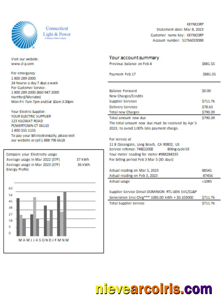 Connecticut Light & Power Electricity Utility Business Bill, SCR Template