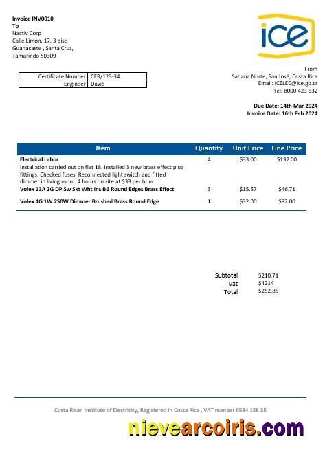 Costa Rica Costa Rican Institute Of Electricity Business Utility Bill Word And Pdf Formats Template