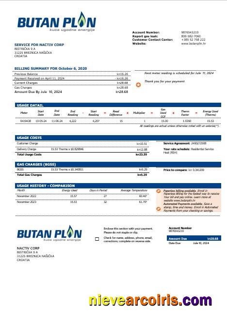 Editable Croatia BUTAN PLIN Doo Gas Business Utility Bill Template In Word And Pfd Formats