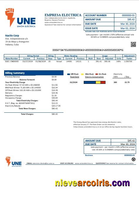 Editable Cuba Empresa Electrica Business Utility Bill Template In Word And Pdf Formats