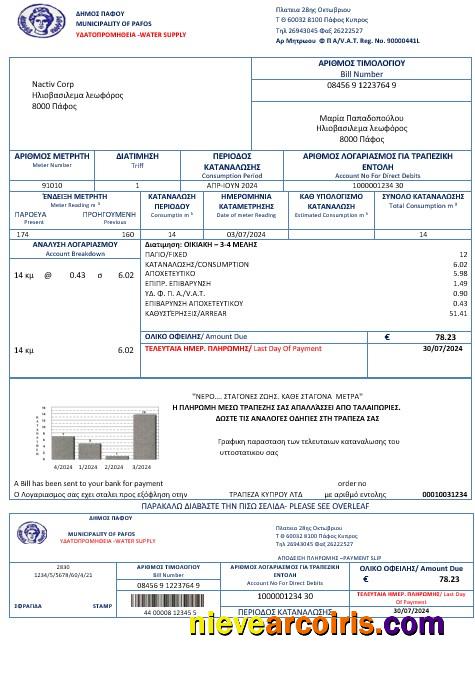 Premium Cyprus Water Business Utility Bill Template In Word And PDF Formats