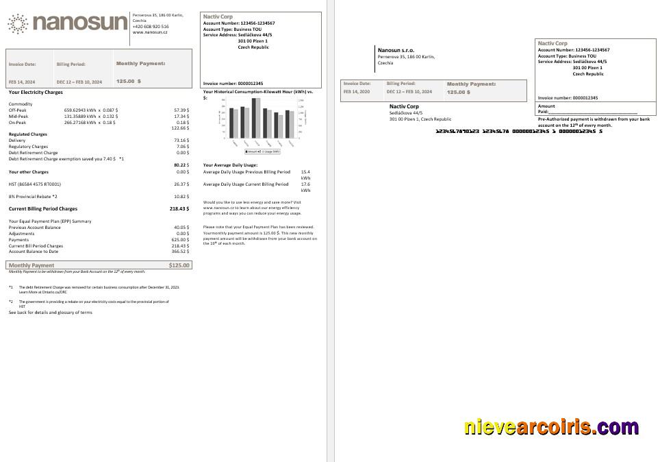 Realistic Czech Republic Nanosun Sro Business Utility Bill Template In Word In Pfd Formats