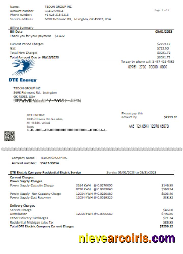 DTE Energy Utility Business Bill SCR Page 1 Preview