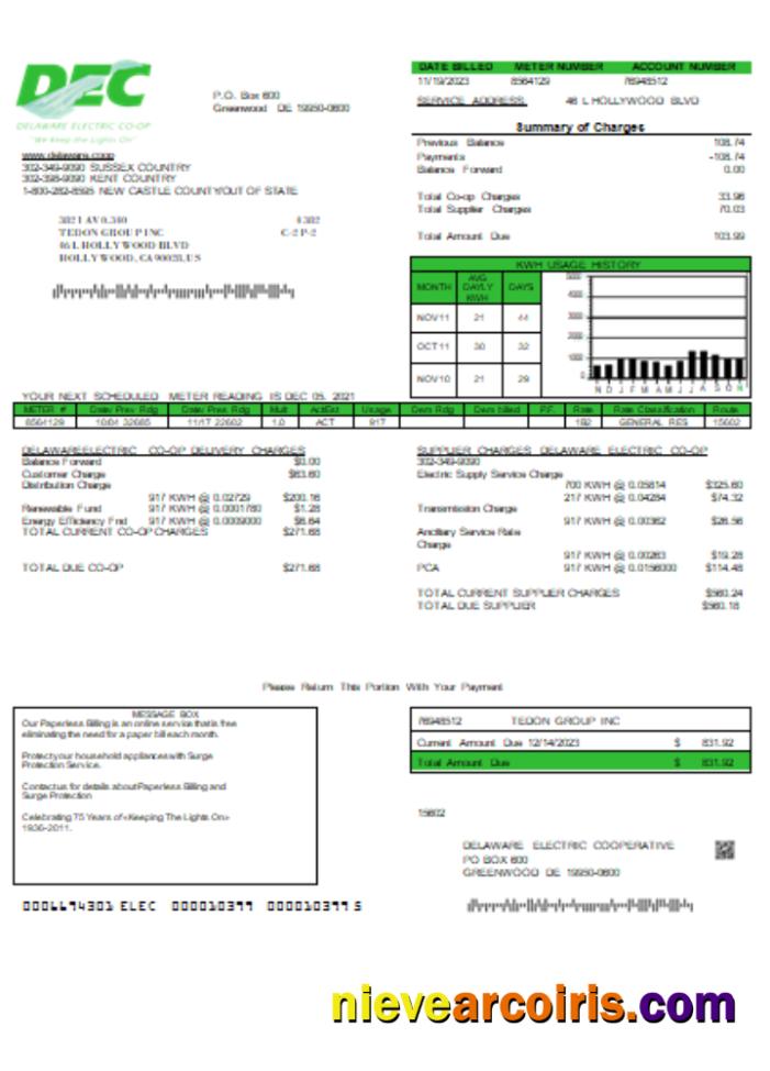 Delaware Electric Co Op Utility Business Bill, SCR Sample