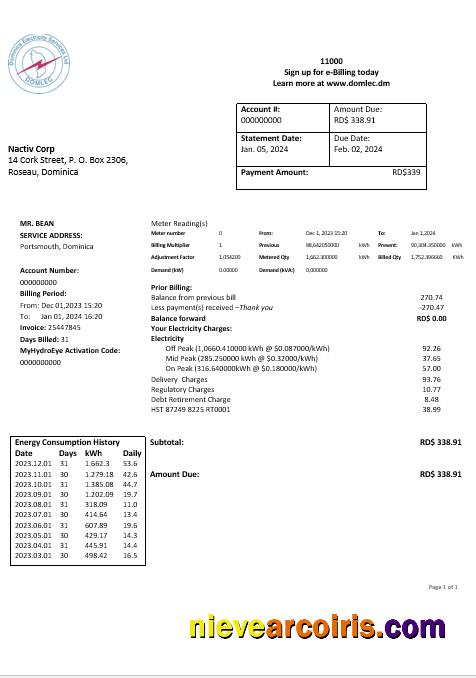 Dominica Electricity Services Limited Electricity Business Utility Bill Word And Pdf Formats Sample