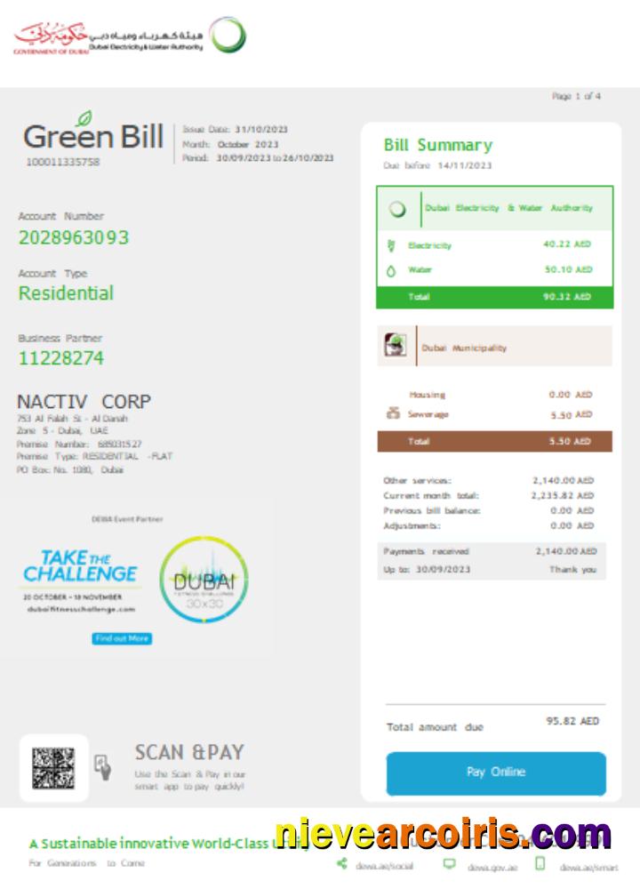 Dubai Electricity & Water Authority Utility Business Bill SCR Page 1 Template