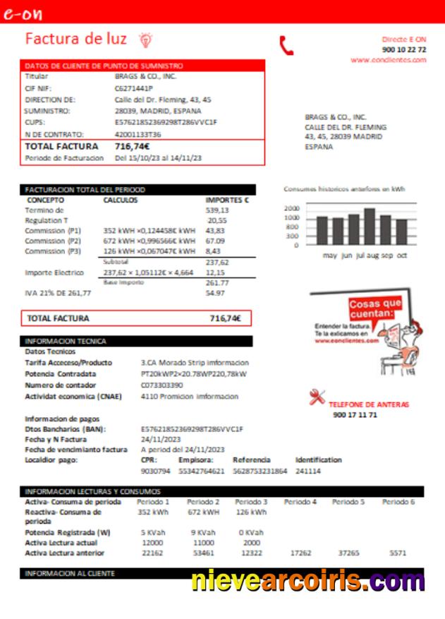 E.ON Spain Electricity Utility Business Bill, SCR Template