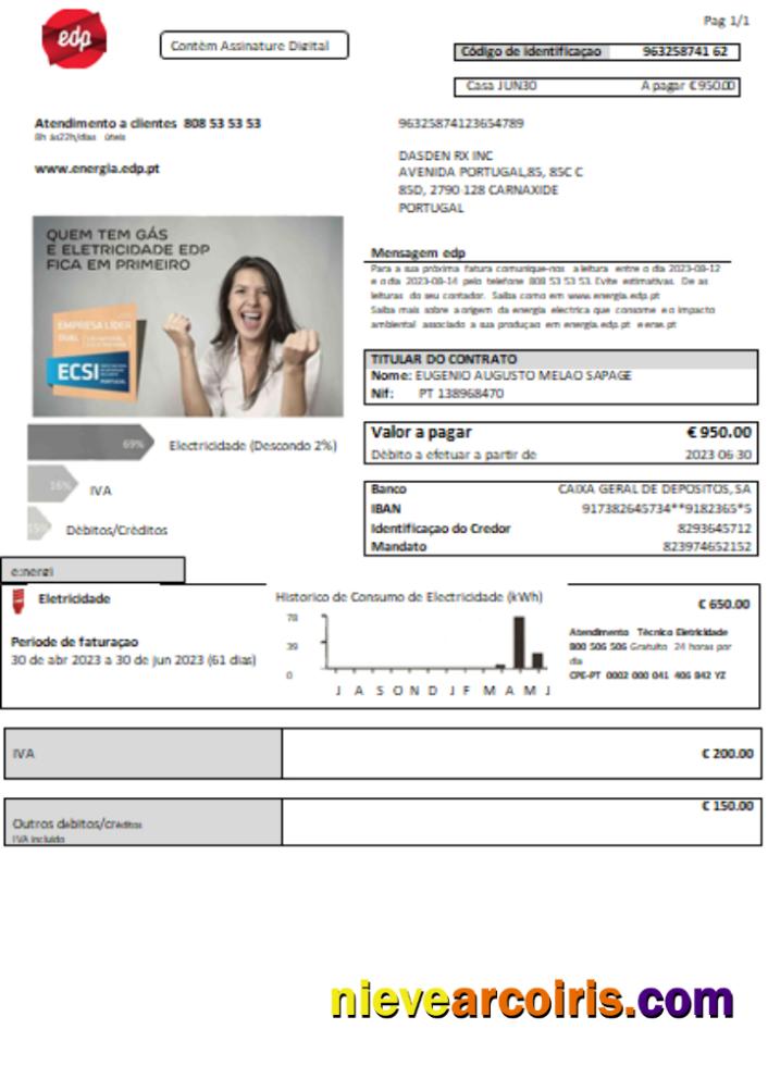 EDP Portugal Electricity Utility Business Bill, Scr Photolook