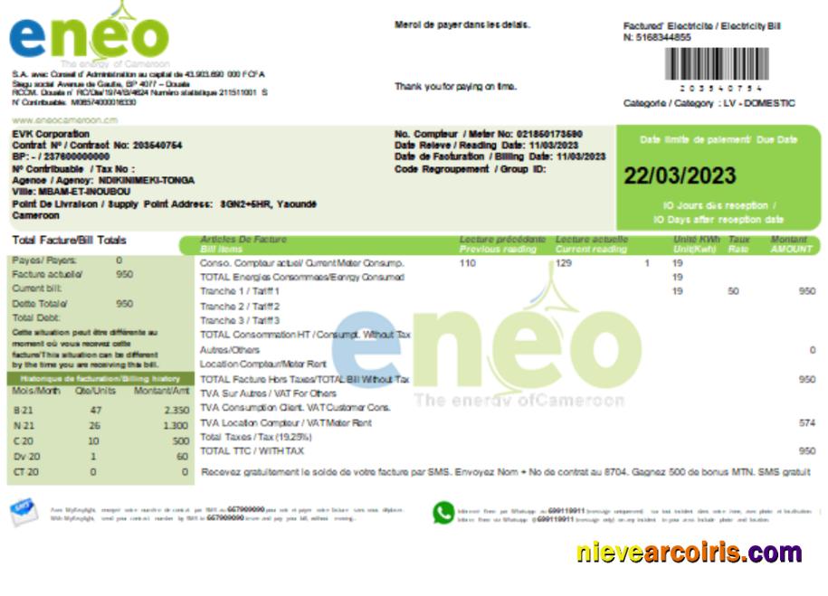 ENEO Electricity Utility Business Bill, SCR Preview