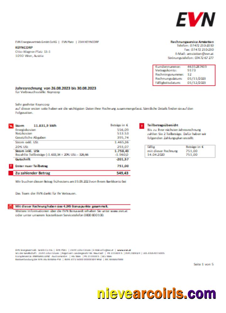 EVN Electricity Utility Business Bill, Page 1 SCR Photolook